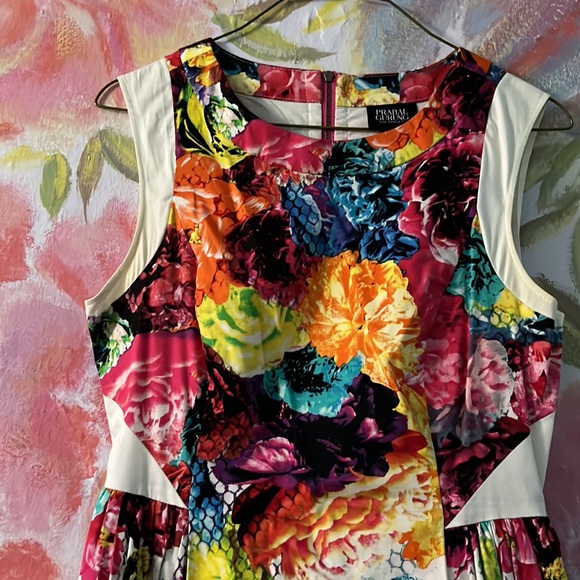 Prabal Gurung for target fir and flair  summer dress floral printed cotton - Picture 2 of 5